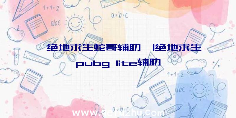 「绝地求生蛇哥辅助」|绝地求生pubg